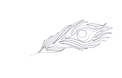 Image of a feather graphic